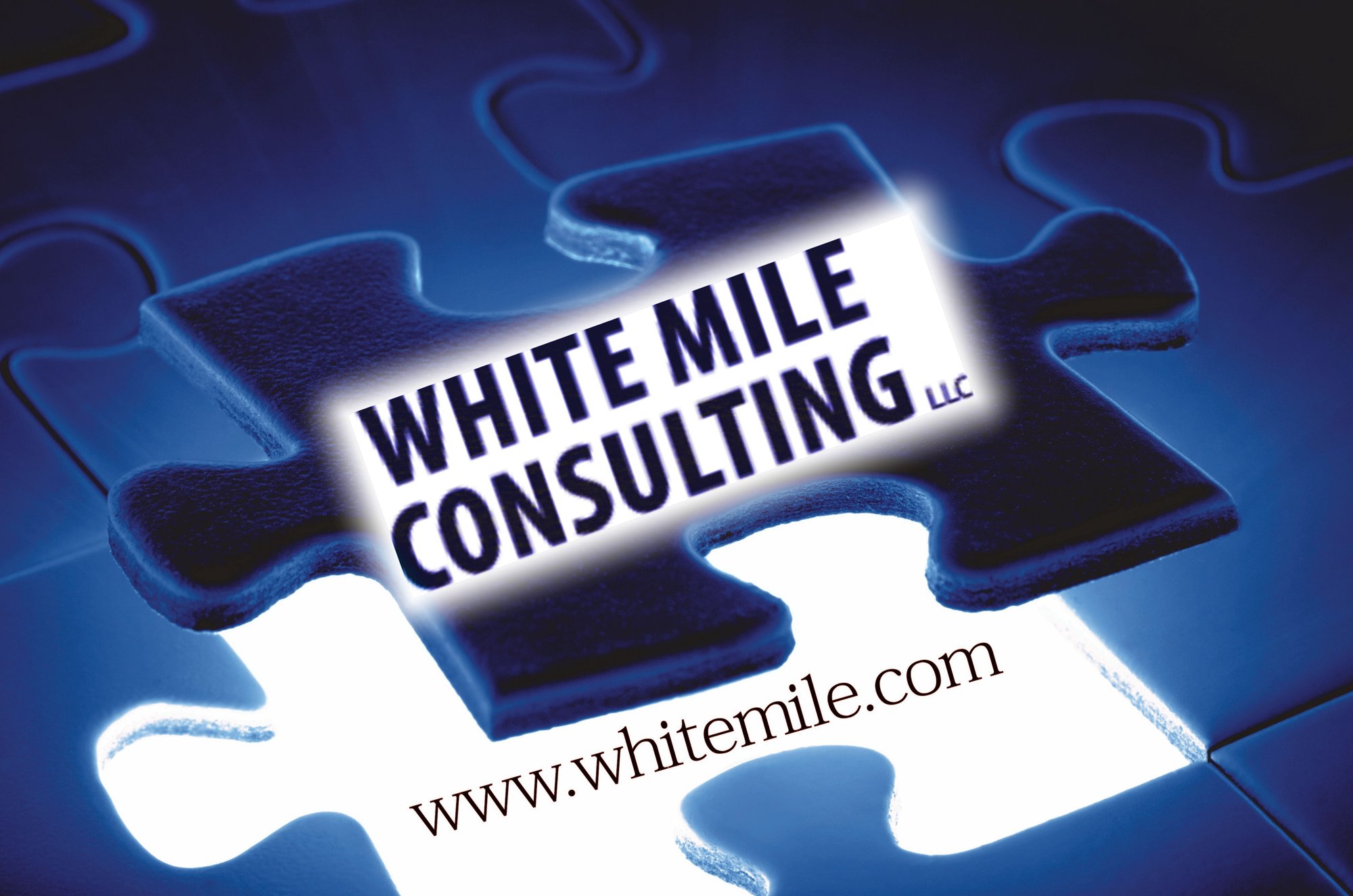 WM_Puzzle_Logo